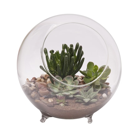 TERRARIUM W/FEET 10.25D